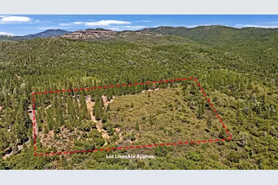 12336 Scott Road, Sheep Ranch, CA 95246 - Photo 53