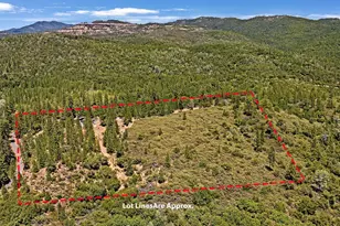 12336 Scott Rd, Sheep Ranch, CA 95246 - Photo 53