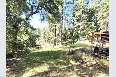 25750 Aspen Court, Volcano, CA 95689 - Photo 23