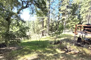 25750 Aspen Ct, Volcano, CA 95689 - Photo 23