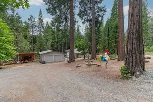 26742 High Trees Dr, Pioneer, CA 95666 - Photo 17