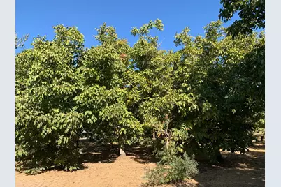 700 Wellsford Road, Modesto, CA 95357 - Photo 77