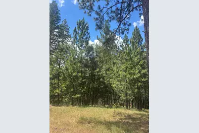 21109 Adamson Drive, Grass Valley, CA 95949 - Photo 9