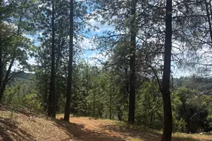 21109 Adamson Dr, Grass Valley, CA 95949 - Photo 1