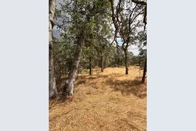 10357 Tulipan Way, Coulterville, CA 95311 - Photo 3