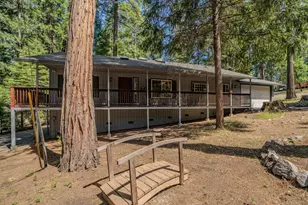 20526 South Ct, Pioneer, CA 95666 - Photo 49