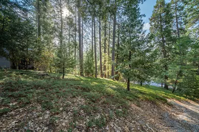 51 Canterwood Lane, Murphys, CA 95247 - Photo 1