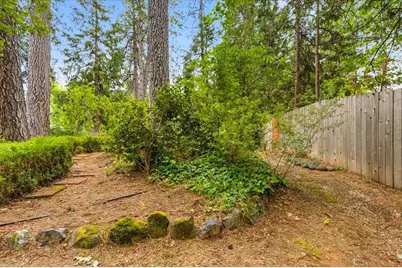 348 Clay Street, Nevada City, CA 95959 - Photo 43