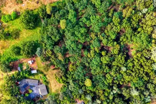 10016 E Lime Kiln Rd, Grass Valley, CA 95949 - Photo 9