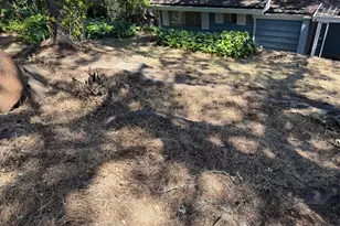 231 Boarman St, Jackson, CA 95642 - Photo 57
