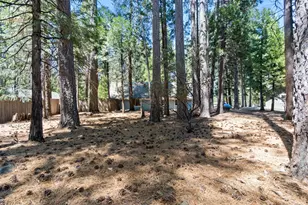 7363 Shasta Forest Dr, Shingletown, CA 96008 - Photo 27