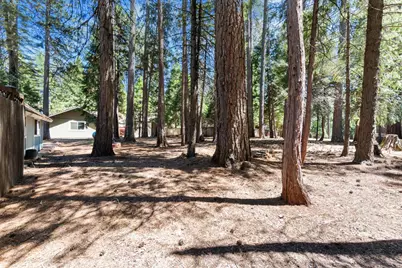 7363 Shasta Forest Drive, Shingletown, CA 96008 - Photo 25