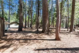 7363 Shasta Forest Dr, Shingletown, CA 96008 - Photo 25