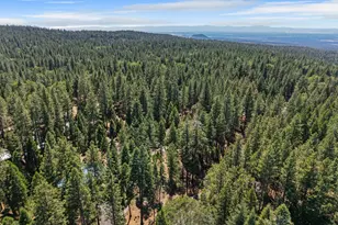 7363 Shasta Forest Dr, Shingletown, CA 96008 - Photo 41