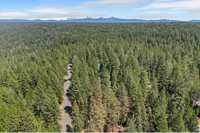 7363 Shasta Forest Drive, Shingletown, CA 96008 - Photo 43