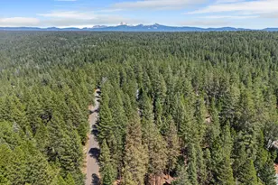 7363 Shasta Forest Dr, Shingletown, CA 96008 - Photo 43