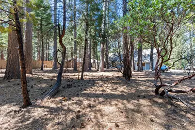 7363 Shasta Forest Drive, Shingletown, CA 96008 - Photo 29