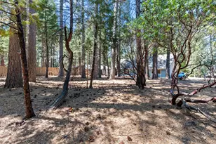 7363 Shasta Forest Dr, Shingletown, CA 96008 - Photo 29