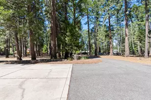 7363 Shasta Forest Dr, Shingletown, CA 96008 - Photo 33