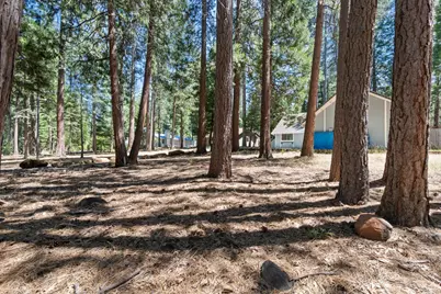 7363 Shasta Forest Drive, Shingletown, CA 96008 - Photo 35