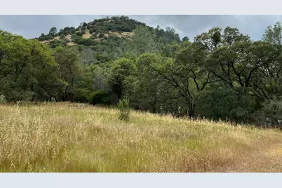 10840 Pool Station Road, Angels Camp, CA 95222 - Photo 1
