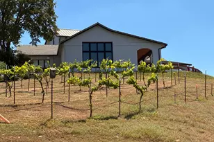 15070 Willow Creek Rd, Plymouth, CA 95669 - Photo 7