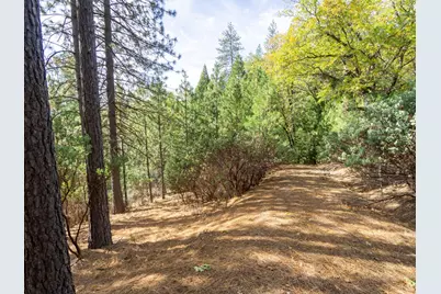 5031 Anne Louise Lane, Placerville, CA 95667 - Photo 21