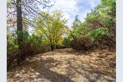 5031 Anne Louise Lane, Placerville, CA 95667 - Photo 19