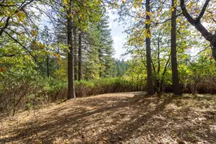 5031 Anne Louise Ln, Placerville, CA 95667 - Photo 1