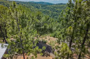 5595 Jasper Ridge Rd, Murphys, CA 95247 - Photo 61