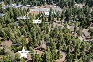 26495 Butterfield Ct, Pioneer, CA 95666 - Photo 45