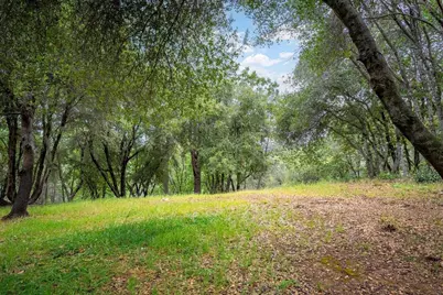 10 Acres Hollow Lane, Greenwood, CA 95635 - Photo 3