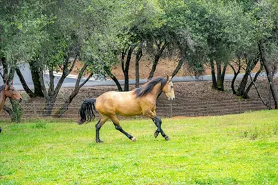 10 Acres Hollow Lane, Greenwood, CA 95635 - Photo 13