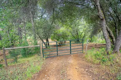 10 Acres Hollow Lane, Greenwood, CA 95635 - Photo 17