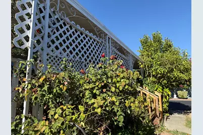 Magnolia, Sacramento, CA 95828 - Photo 43