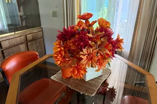 Magnolia, Sacramento, CA 95828 - Photo 5