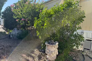 Magnolia, Sacramento, CA 95828 - Photo 41