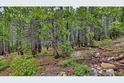 0 Texas Hill Rd, Emigrant Gap, CA 95715 - Photo 15
