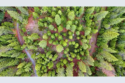 0 Texas Hill Rd, Emigrant Gap, CA 95715 - Photo 21