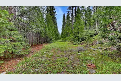 0 Texas Hill Rd, Emigrant Gap, CA 95715 - Photo 9