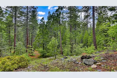 0 Texas Hill Rd, Emigrant Gap, CA 95715 - Photo 11