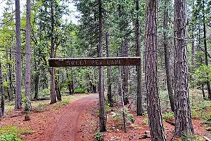 0 Texas Hill Rd, Emigrant Gap, CA 95715 - Photo 1