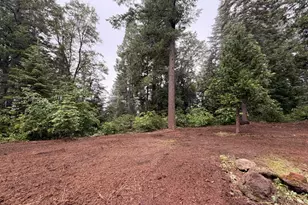 16859 Wyatt Earp Rd, Nevada City, CA 95959 - Photo 47