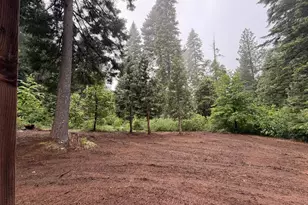 16859 Wyatt Earp Rd, Nevada City, CA 95959 - Photo 51