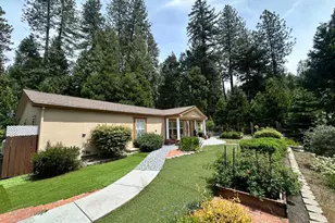 3041 Leaf Cir, Pollock Pines, CA 95726 - Photo 1