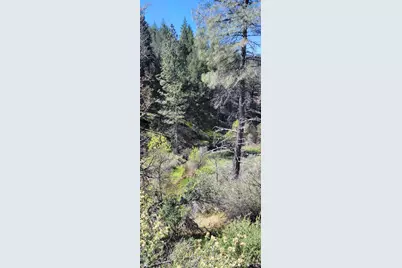 2400 White Rock Road, Platina, CA 96076 - Photo 3