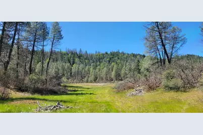 2400 White Rock Road, Platina, CA 96076 - Photo 5
