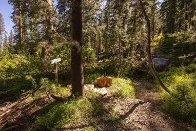 11415 Granite Court, Soda Springs, CA 95728 - Photo 9