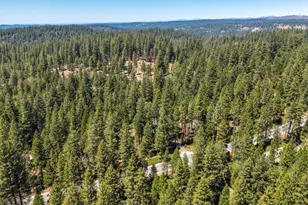 27879 State Hwy 88, Pioneer, CA 95666 - Photo 55
