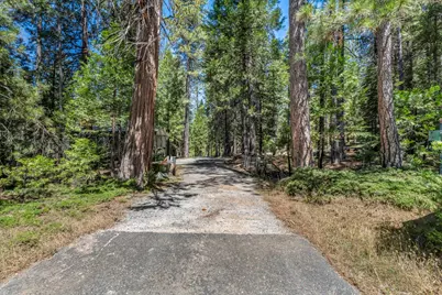 27879 State Highway 88, Pioneer, CA 95666 - Photo 55